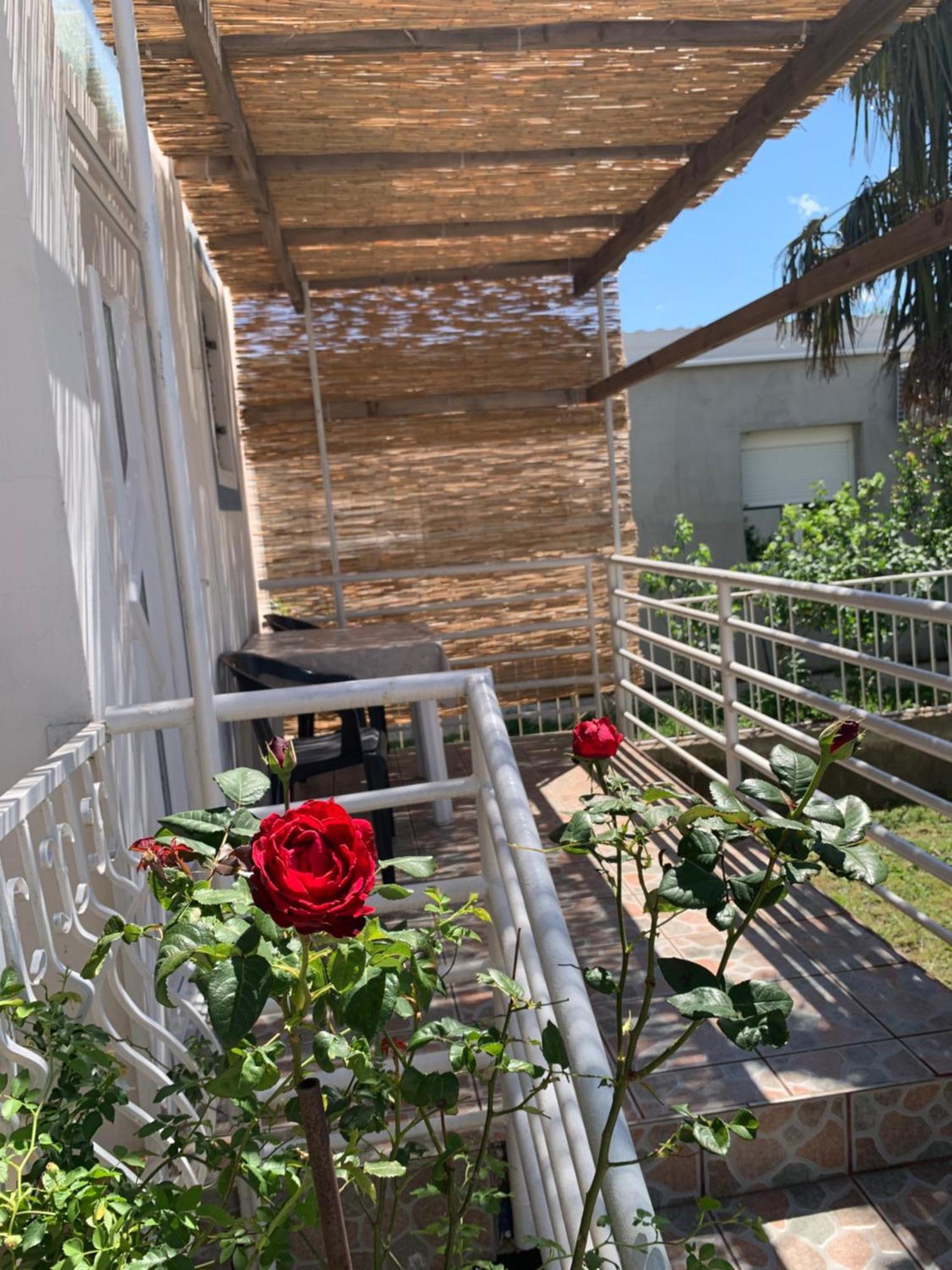 Apartmani Antonela Seline Extérieur photo